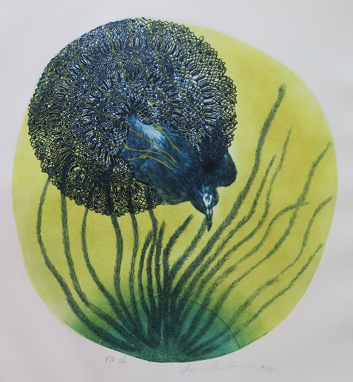 Obra Sem título de Heloisa Pires Ferreira